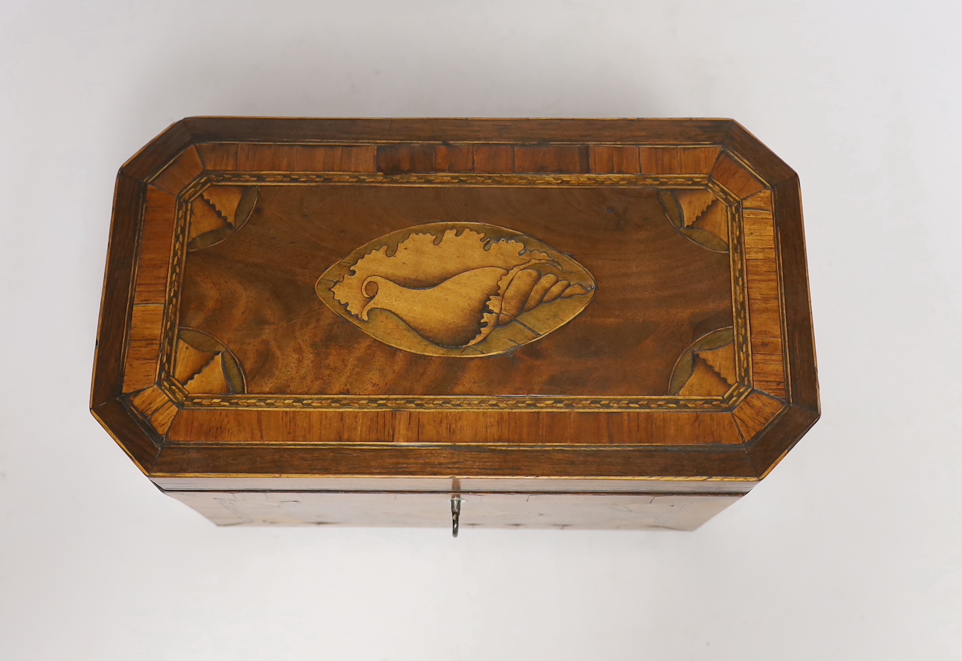 An early 19th century shell inlaid cross banded mahogany tea caddy, 26cm wide